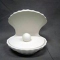 CP323 Clam Shell Jewelry Box